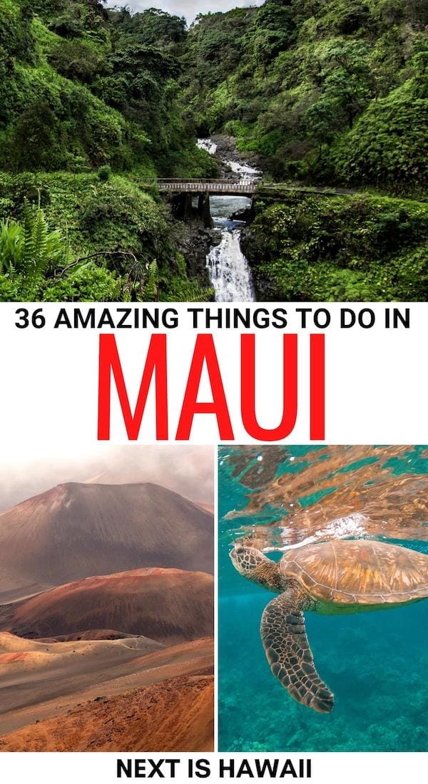 Are you looking for the best things to do in Maui? This is the ultimate Maui bucket list - including the top attractions, tours, activities, beaches, and more! | Maui things to do | What to do in Maui | Maui beaches | Visit Maui | Maui itinerary | Maui attractions | Maui landmarks | Maui road trip | Maui tours | Maui sightseeing | Maui photography | Things to do on Maui | Places to visit in Maui | Maui trip | Maui museums | Maui restaurants | Maui activities | Maui excursions