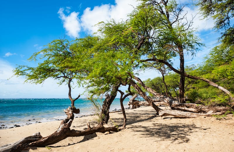 Makena Beach State Park