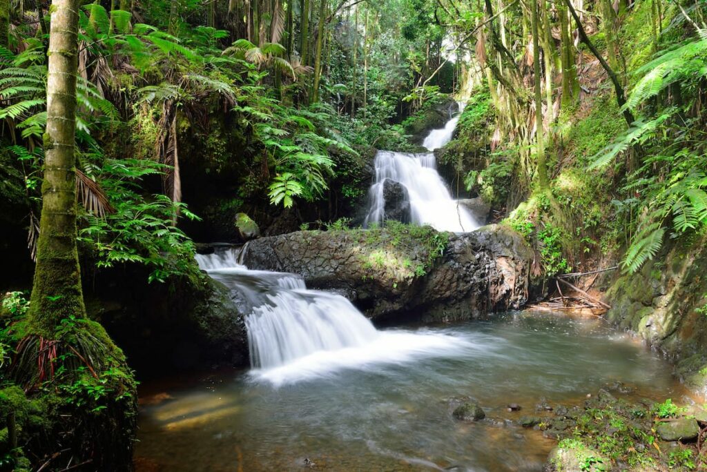 12 Most Beautiful Big Island Waterfalls (+ How To Visit!)