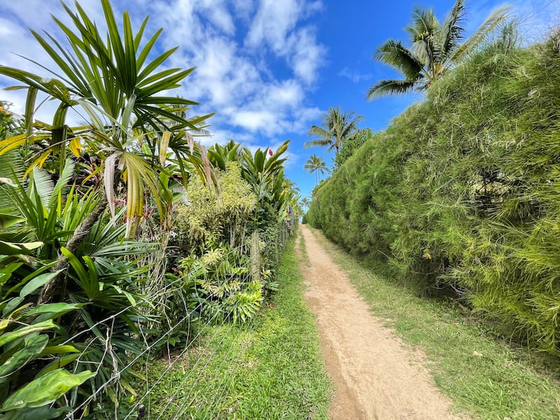 Path to the beach in Hanalei