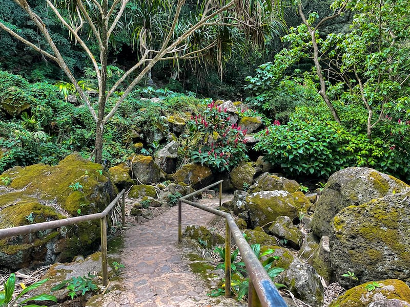 Trail at Waimea Valley