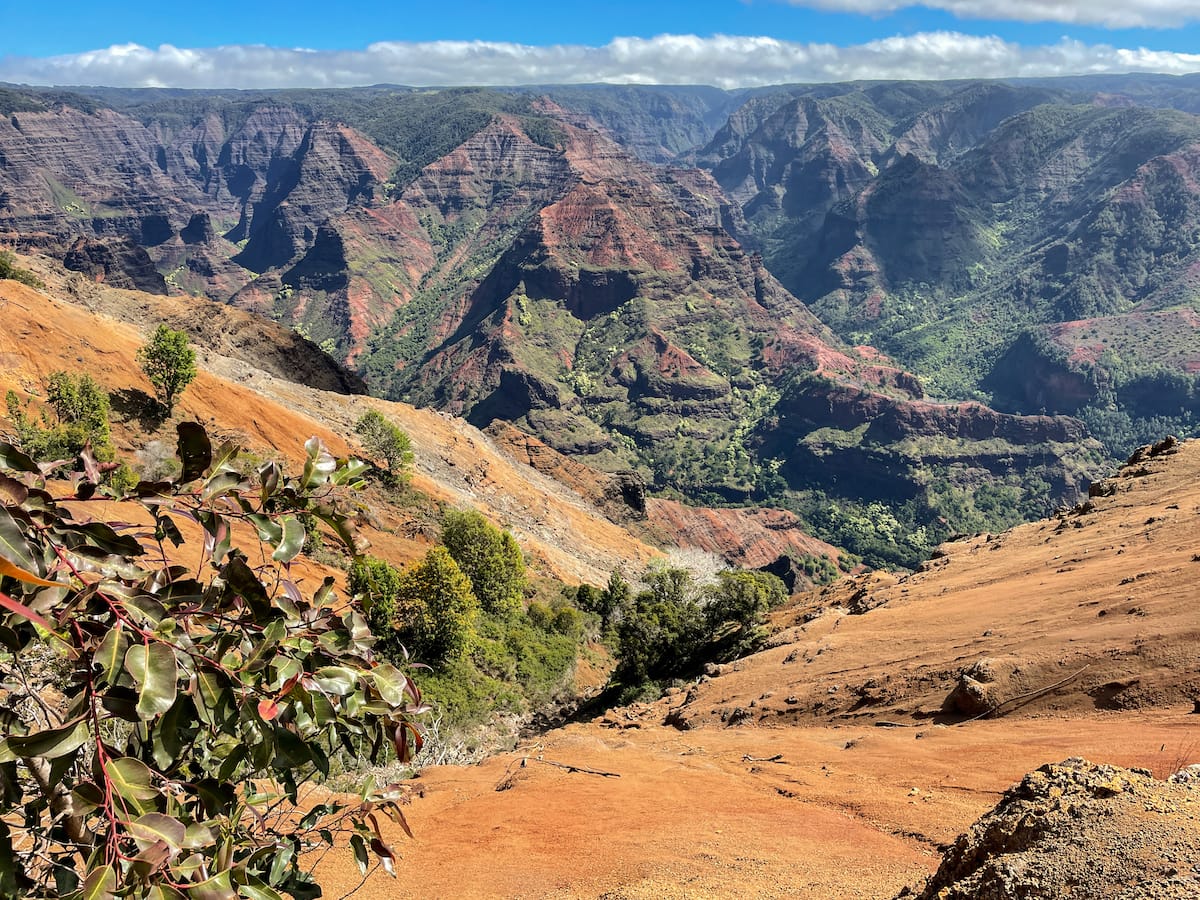 Views from Waimea Canyon State Park