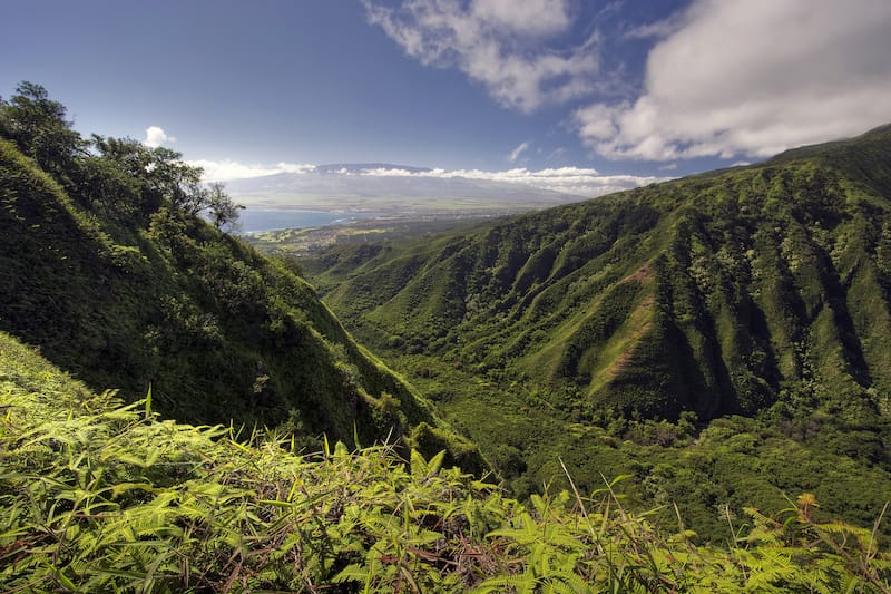 Waihe’e Ridge Trail