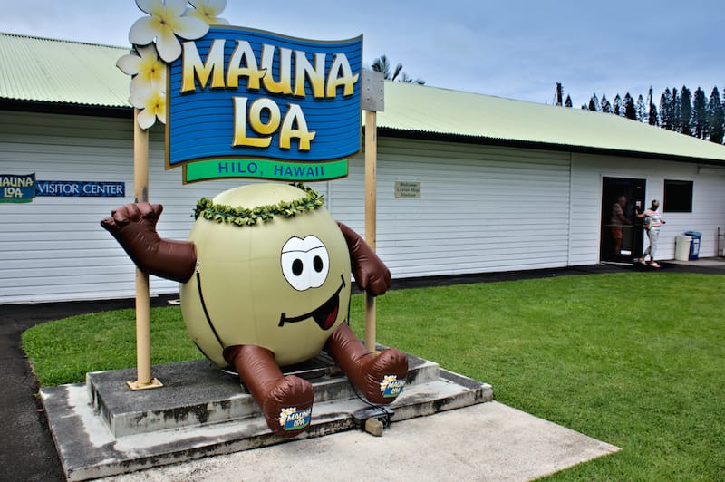 Mauna Loa macadamia nut farm - Elmar Langle - Shutterstock