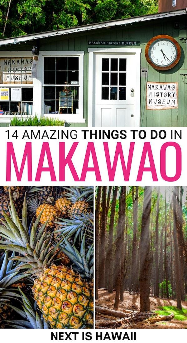 Are you looking for the best things to do in Makawao, Maui? This is an Upcountry Maui attractions and landmarks guide! Click to see the best of this part of the island! | Makawao things to do | Makawao attractions | Makawao landmarks | Makawao restaurants | What to do in Makawao | Makawao sightseeing | Things to do in Upcountry Maui | Upcountry Maui attractions | Makawao galleries | Makawao itinerary | Upcountry Maui itinerary