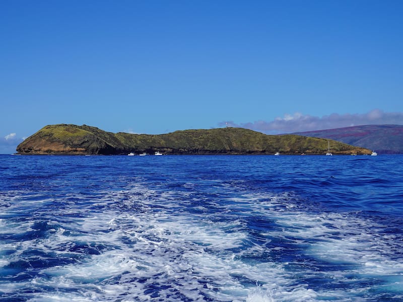 Molokini snorkeling tour