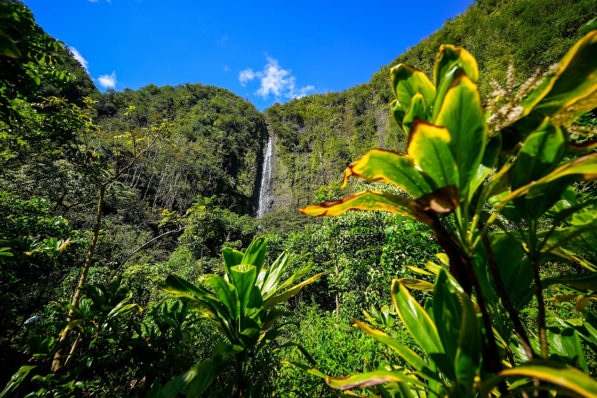 Waimoku Falls at the end of the Pipiwai Trail