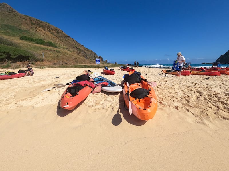 Kayaking To The Mokes What To Expect How To Book Tips