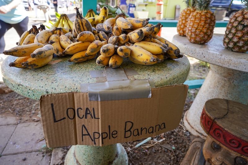 Apple bananas in Hawaii