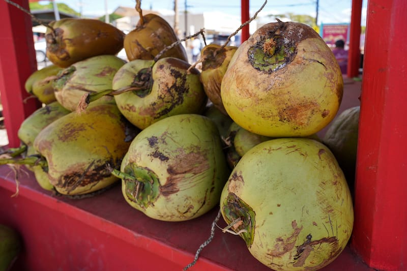 Coconut in Hawaii
