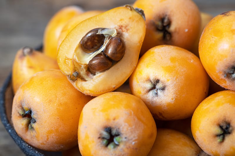 Loquat