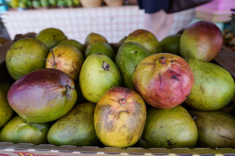 Mangoes on Kauai