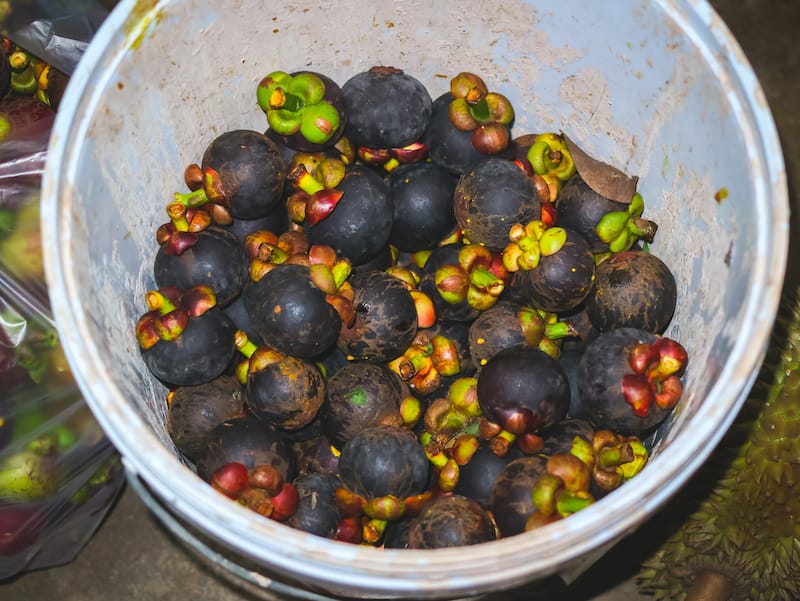 Mangosteens