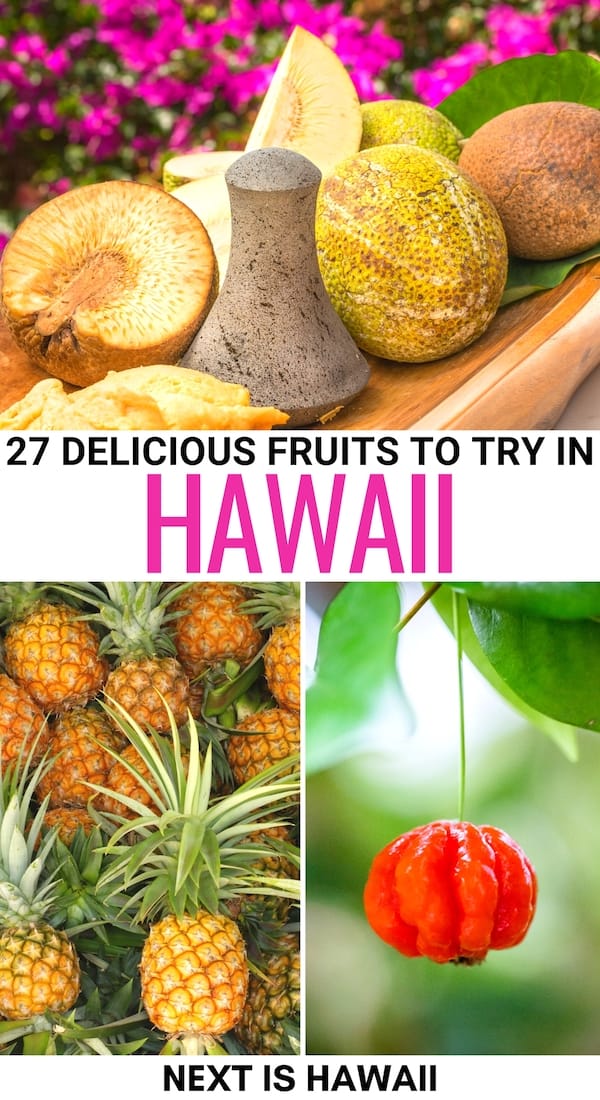 Looking fort the best Hawaiian fruits to try on your trip (or just to learn more about!)? This guide contains an array of fruit in Hawaii to get your started! | food in hawaii | hawaiian food | hawaii fruit | fruit in oahu | fruit in maui | fruit on the big island | fruit in kauai | noni in hawaii | pineapple in hawaii | hawaii mango | hawaii papaya | hawaii ulu | hawaii dragonfruit | hawaii breadfruit | hawaii avocados