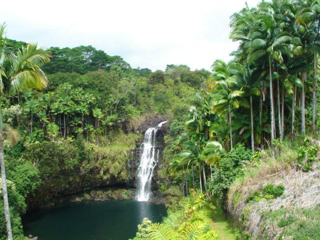 My Kulaniapia Falls photo from the Blackberry
