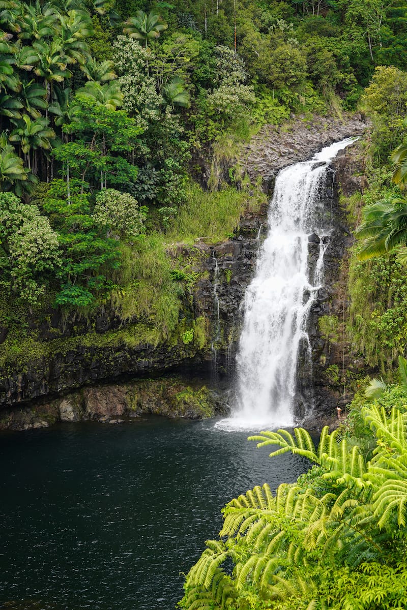 The famous Kulaniapia Falls