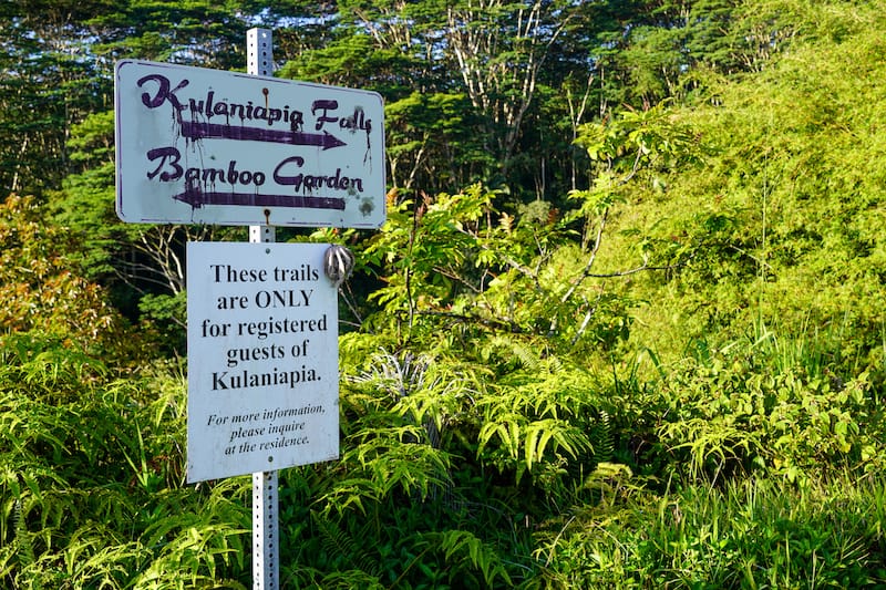 The bamboo gardens are a must on a day trip