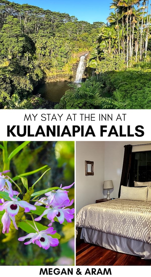Looking for more information about booking a stay at The Inn at Kulaniapia Falls? I review my time there, and include info about their activities, day passes, and more! | Things to do in Hilo | Hilo waterfalls | Hilo to Kulaniapia Falls | What to do in Hilo | Hilo day trips | Hilo excursions | Hilo day tours | Day trips from Hilo | Where to stay on the Big Island | Big Island waterfalls | Hilo hotels