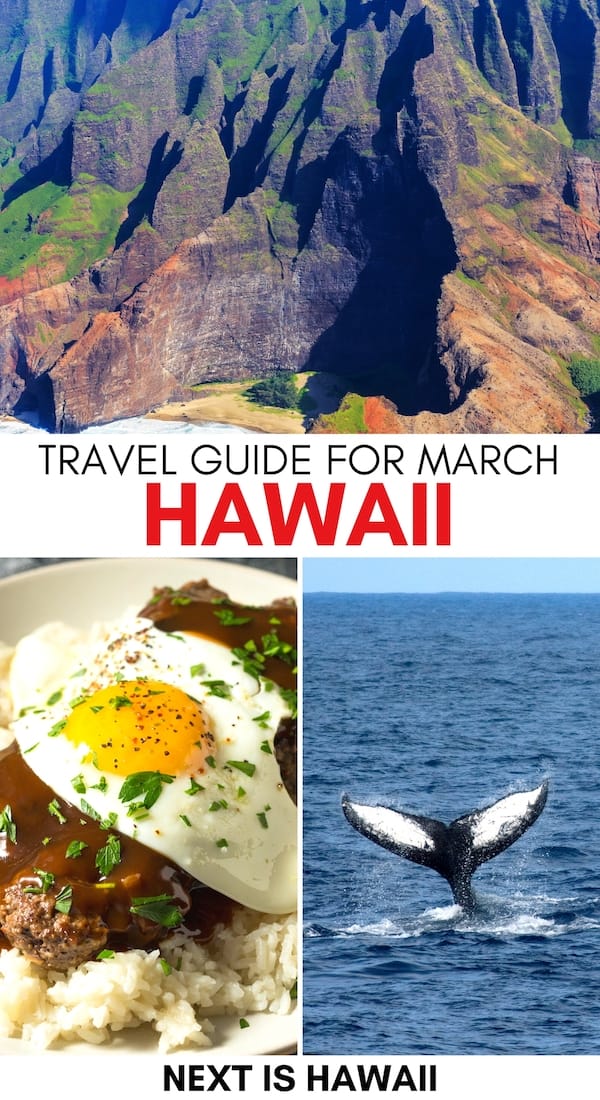 Planning a visit to Hawaii in March and are looking for the top things to do, festivals, weather info, and tips? This guide covers all you need to know. Learn more! | March in Hawaii | Spring in Hawaii | Big Island in March | Oahu in March | Maui in March | Kauai in March | Molokai in March | Lanai in March | Honolulu in March | Kona in March | Hilo in March