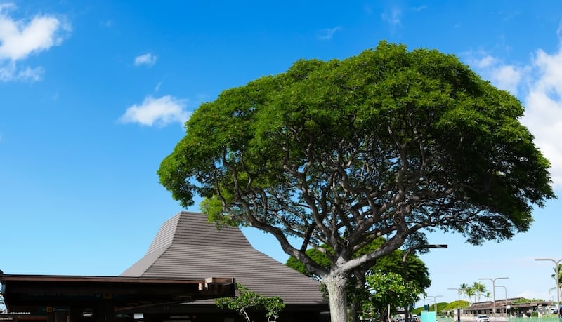 Big Island to Maui